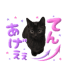 黒猫ルナVol.2（個別スタンプ：8）