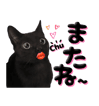 黒猫ルナVol.2（個別スタンプ：11）