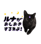 黒猫ルナVol.2（個別スタンプ：16）