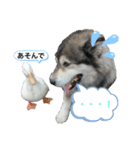 トンちゃん＆ガーちゃん（個別スタンプ：4）