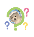フー＆ハク（個別スタンプ：2）