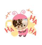 フー＆ハク（個別スタンプ：3）
