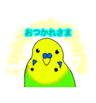 インコのイエローとチェリーとピーちゃん（個別スタンプ：1）