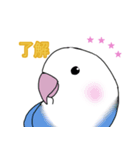 インコのイエローとチェリーとピーちゃん（個別スタンプ：2）