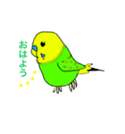 インコのイエローとチェリーとピーちゃん（個別スタンプ：3）