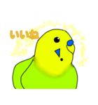 インコのイエローとチェリーとピーちゃん（個別スタンプ：4）