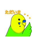 インコのイエローとチェリーとピーちゃん（個別スタンプ：7）