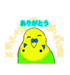 インコのイエローとチェリーとピーちゃん（個別スタンプ：10）