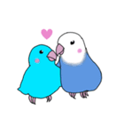 インコのイエローとチェリーとピーちゃん（個別スタンプ：11）