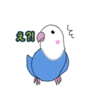 インコのイエローとチェリーとピーちゃん（個別スタンプ：12）