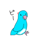 インコのイエローとチェリーとピーちゃん（個別スタンプ：13）