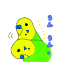 インコのイエローとチェリーとピーちゃん（個別スタンプ：16）