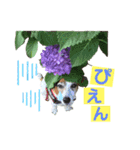 らむぱん♡6（個別スタンプ：3）