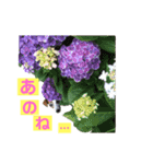 らむぱん♡6（個別スタンプ：5）