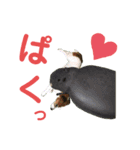 らむぱん♡6（個別スタンプ：8）