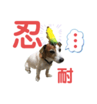 らむぱん♡6（個別スタンプ：9）