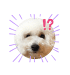 大福きなこムウみかんのstamp（個別スタンプ：5）