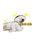 大福きなこムウみかんのstamp（個別スタンプ：18）