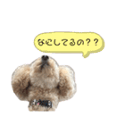 大福きなこムウみかんのstamp（個別スタンプ：23）