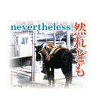 日本の古き良き副詞や接続詞（個別スタンプ：14）