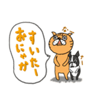 ヒゲ面のクマのテイクアウト生活（個別スタンプ：3）
