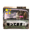使えるこたんず（個別スタンプ：9）