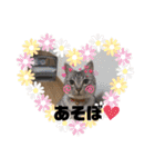 使えるこたんず（個別スタンプ：24）