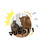 使えるこたんず（個別スタンプ：26）
