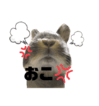 テトラのスタンプ（うさぎ）（個別スタンプ：8）