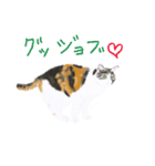 三毛猫ミカたんからのメッセージ（個別スタンプ：2）