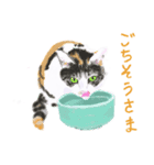 三毛猫ミカたんからのメッセージ（個別スタンプ：3）
