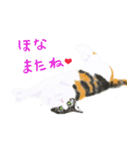 三毛猫ミカたんからのメッセージ（個別スタンプ：4）