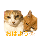 うみそらまる（個別スタンプ：2）