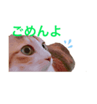 うみそらまる（個別スタンプ：6）