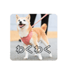 mimita2020（個別スタンプ：1）