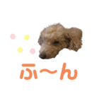 エアレンの常套句（個別スタンプ：4）