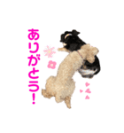 エアレンの常套句（個別スタンプ：5）