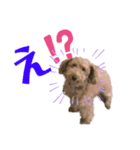 エアレンの常套句（個別スタンプ：6）