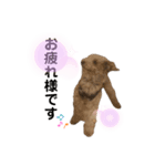 エアレンの常套句（個別スタンプ：7）