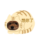 我家的狗寶貝（個別スタンプ：18）