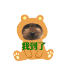 我家的狗寶貝（個別スタンプ：20）