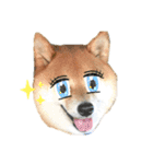 柴犬の八朔2（個別スタンプ：39）