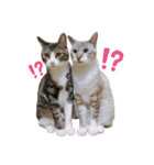 ハナつむじふたえ（個別スタンプ：1）