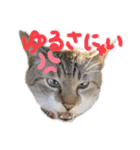 ハナつむじふたえ（個別スタンプ：5）