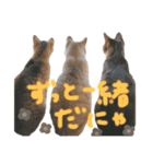 ハナつむじふたえ（個別スタンプ：8）
