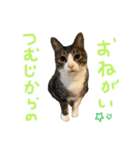 ハナつむじふたえ（個別スタンプ：12）