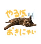 ハナつむじふたえ（個別スタンプ：15）