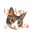 ハナつむじふたえ（個別スタンプ：16）