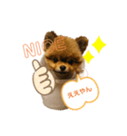 ピノちゃん#1（個別スタンプ：1）
