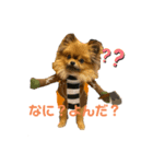 ピノちゃん#1（個別スタンプ：2）